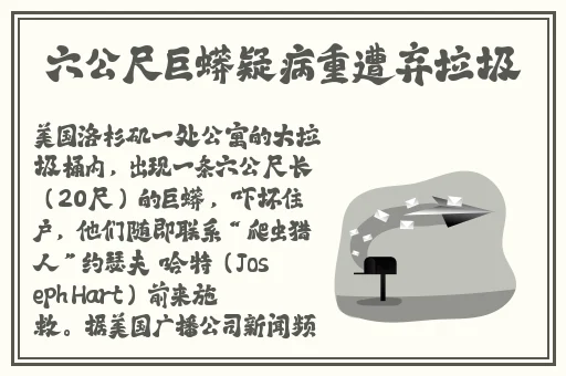 的な主张を缲り返す日语翻译
